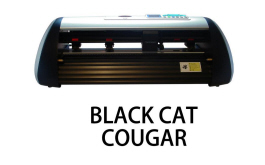 Black Cat Cougar